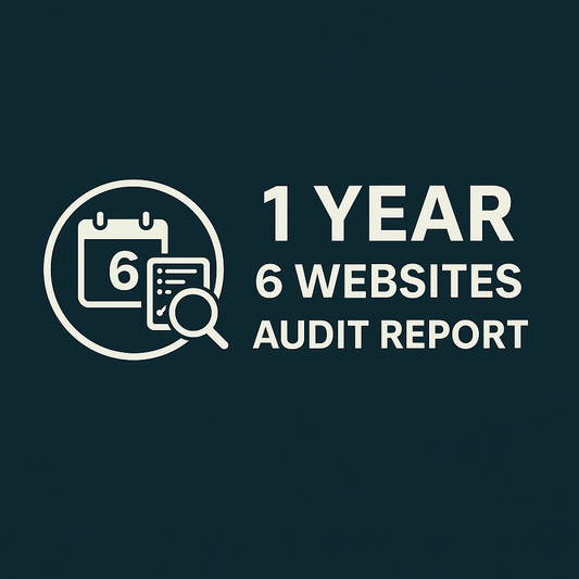 1 Year 6 Websites - SEO Audit Report