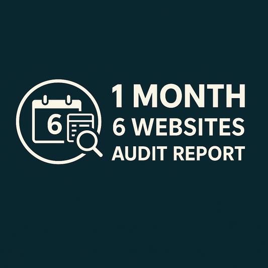 1 Month 6 Websites - SEO Audit Report
